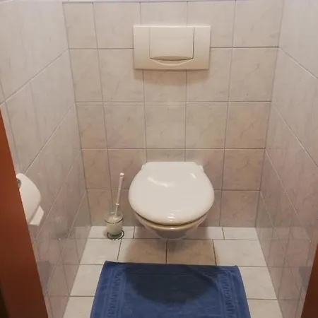 Anna Lejlighed Viehhofen